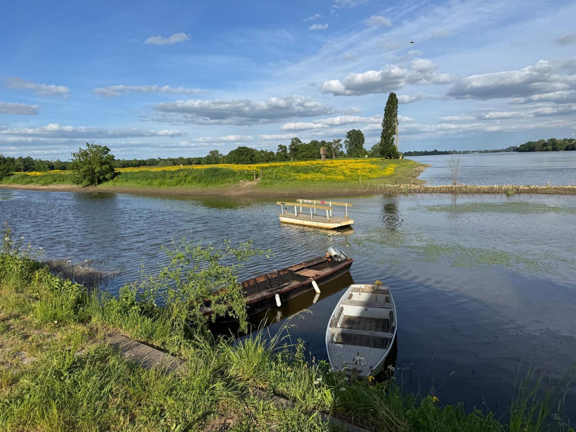 Gite Loirizon Vue Loire 4 Personnes Ingrandes (Maine-et-Loire) Exterior foto